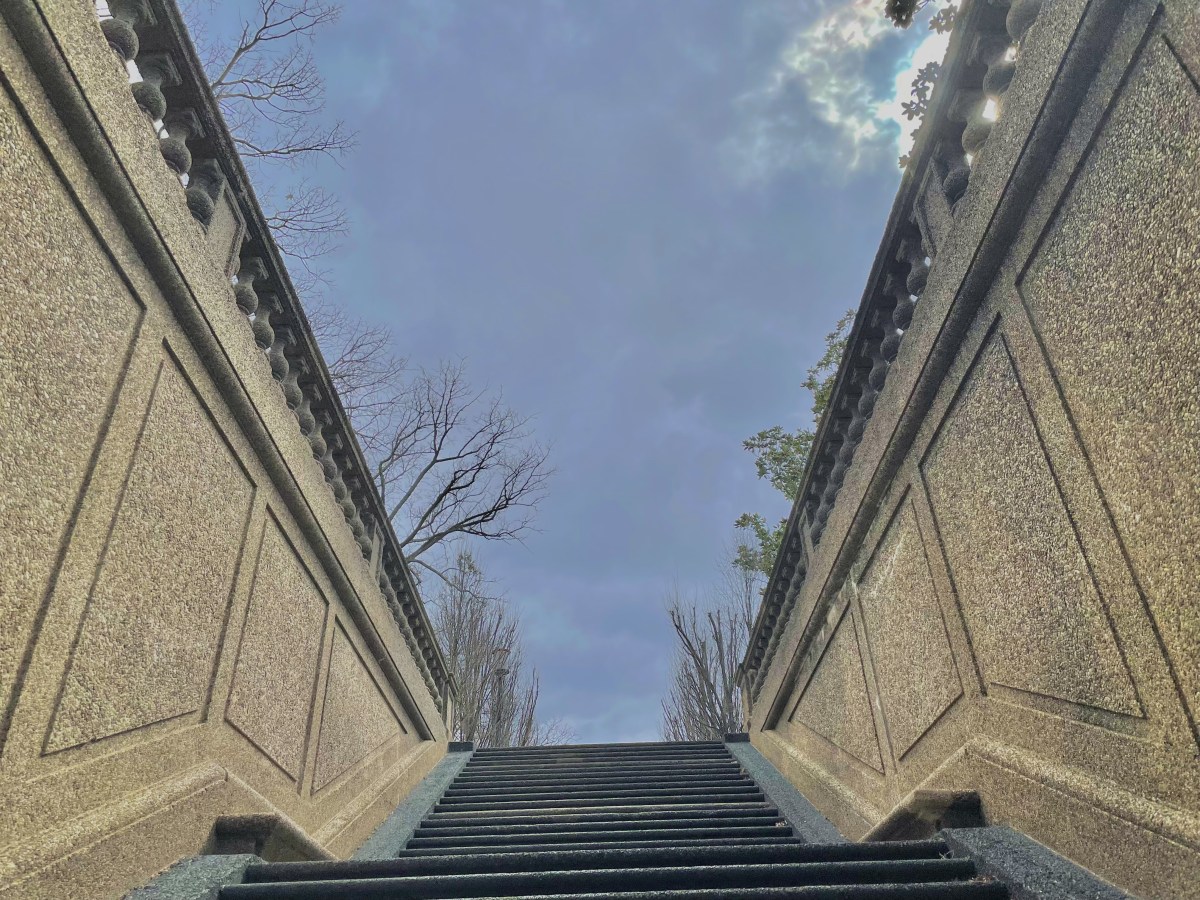 What’s in Front of You?: A Day at Malcolm X Park